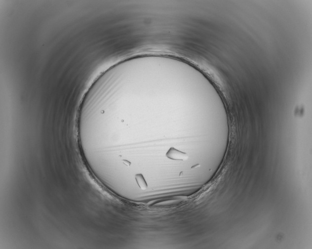 X0000096721382200802261643