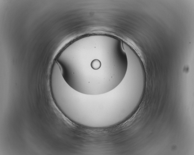 X0000096721384200802261643