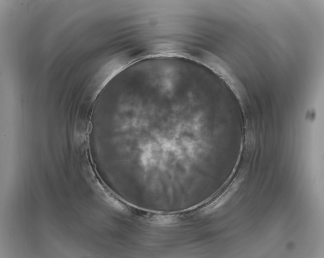 X0000096721385200802261643