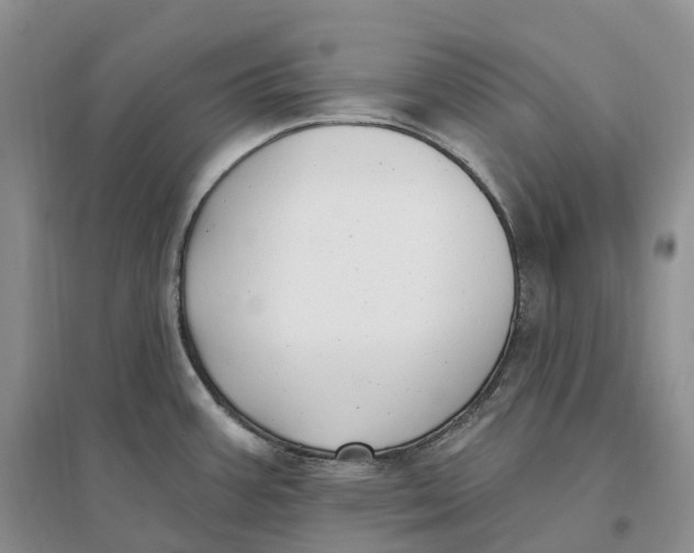 X0000096721387200802261643