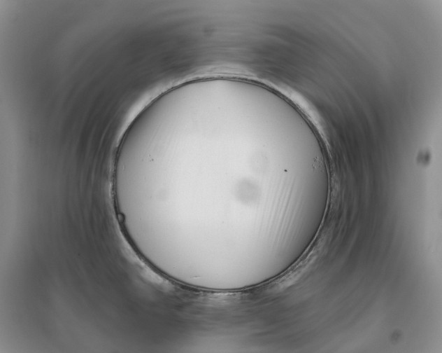 X0000096721390200802261643