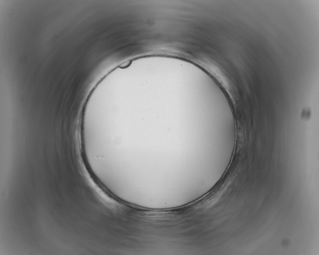 X0000096721391200802261643