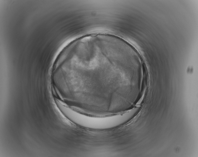 X0000096721392200802261643