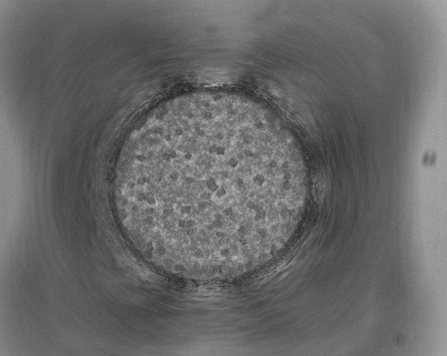 X0000096721393200802261642