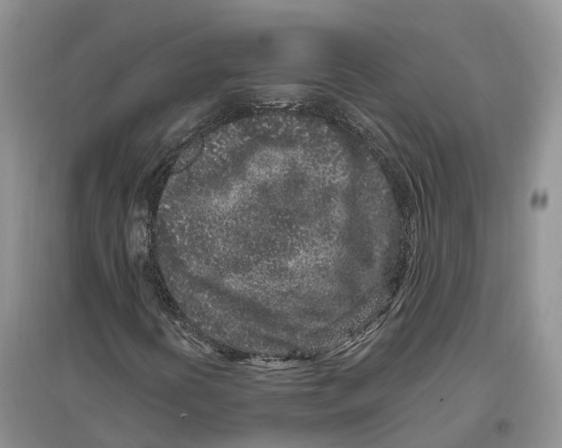 X0000096721394200802261642