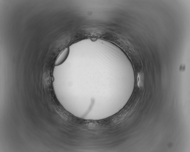 X0000096721395200802261642