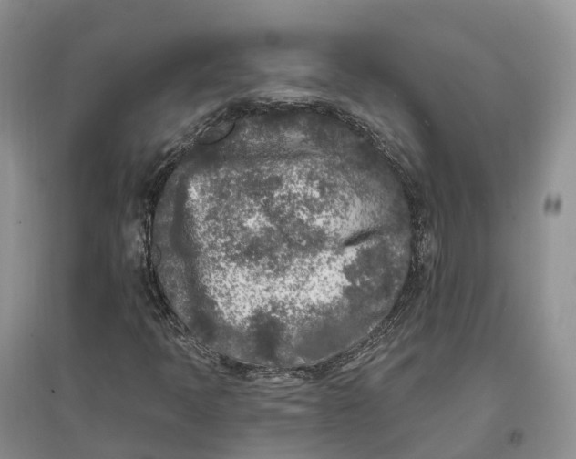 X0000096721397200802261642