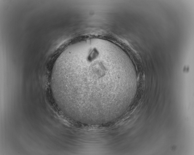 X0000096721399200802261642