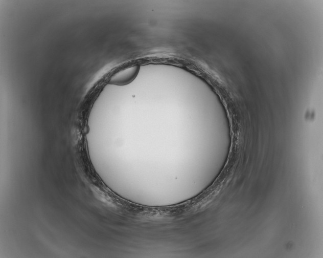 X0000096721400200802261642