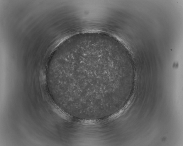 X0000096721401200802261642