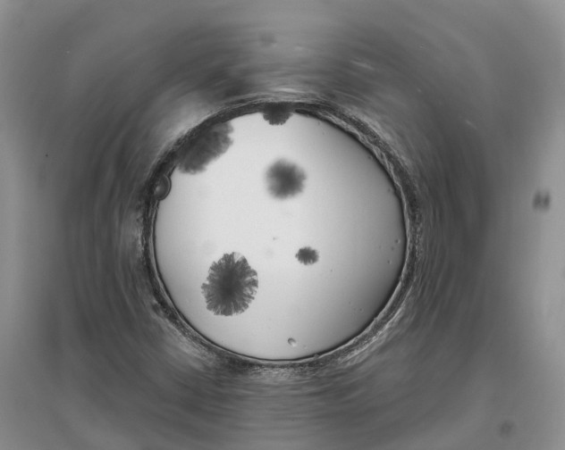 X0000096721402200802261642