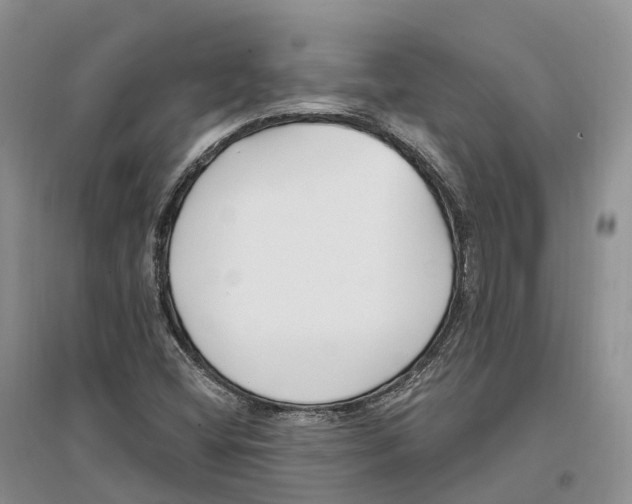 X0000096721404200802261642