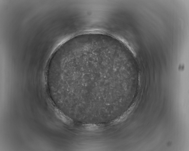 X0000096721405200802261642