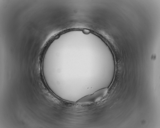 X0000096721408200802261642