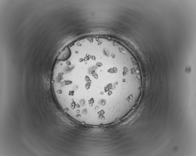 X0000096721409200802261642