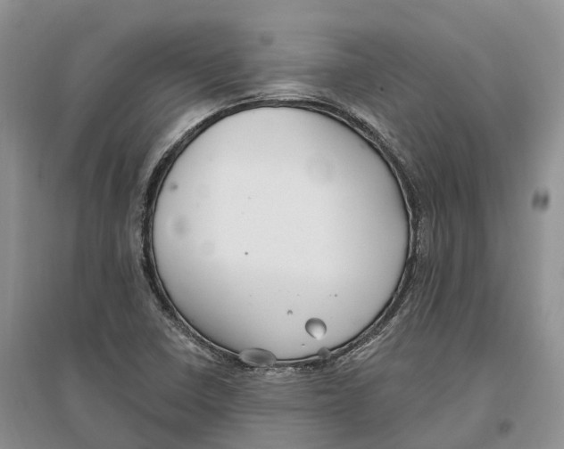 X0000096721410200802261642