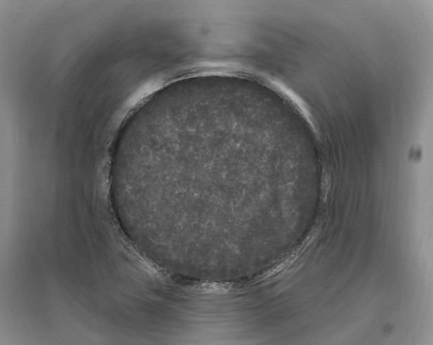 X0000096721411200802261642