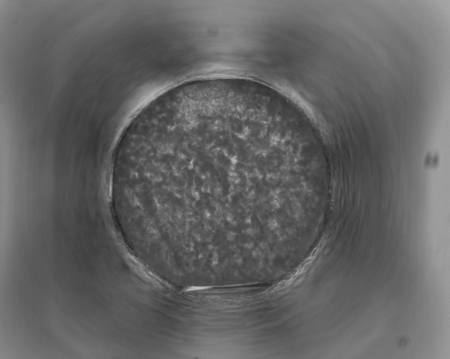 X0000096721413200802261642