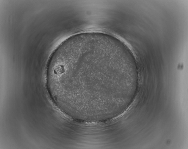 X0000096721415200802261642