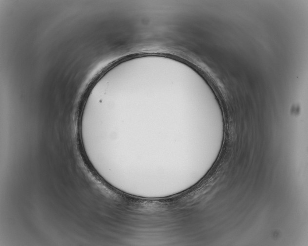 X0000096721416200802261642