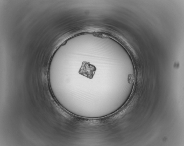 X0000096721417200802261642