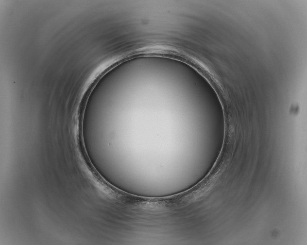 X0000096721418200802261642