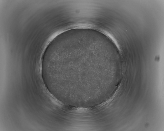 X0000096721419200802261642