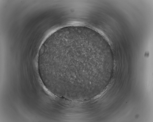 X0000096721421200802261642