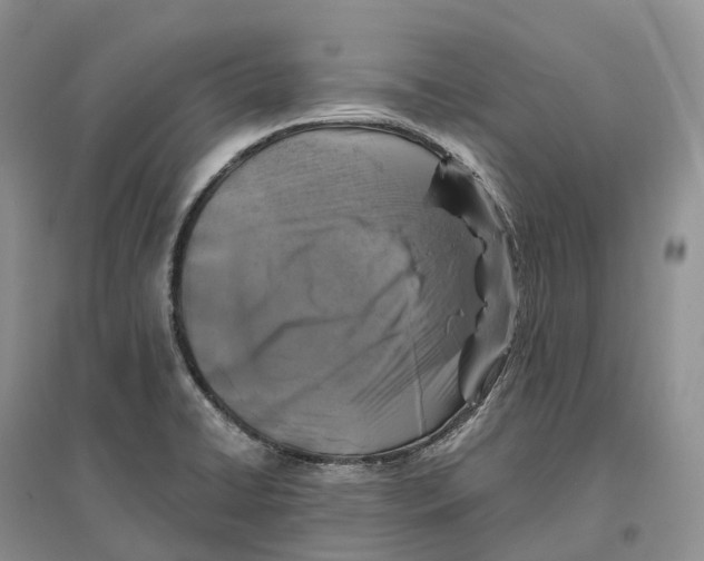 X0000096721422200802261642