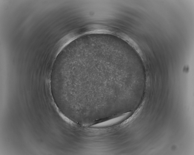 X0000096721425200802261642