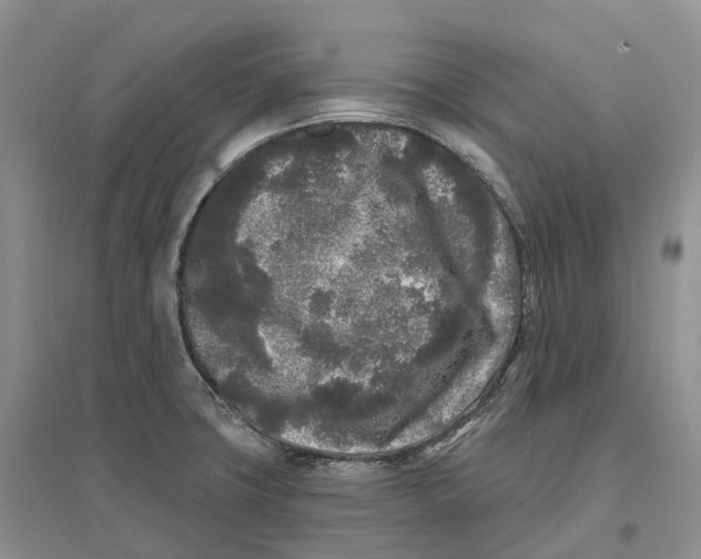 X0000096721427200802261643