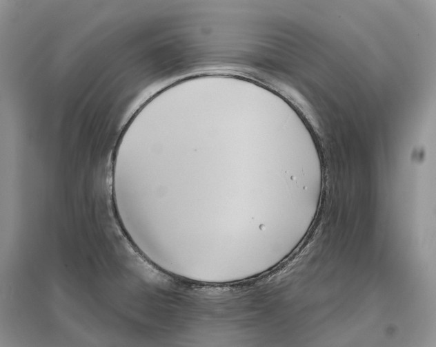 X0000096721428200802261643