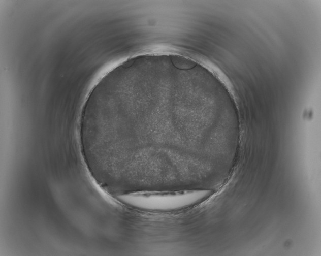 X0000096721429200802261643