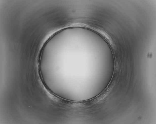 X0000096721430200802261643