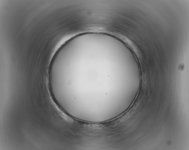 X0000096721432200802261643