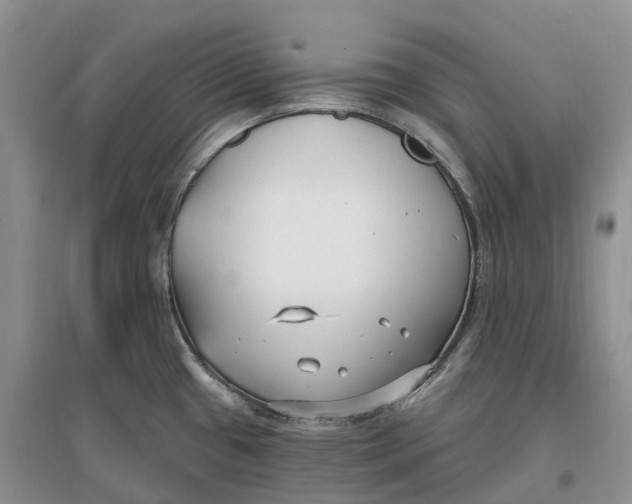 X0000096721433200802261643