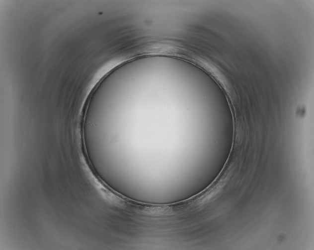 X0000096721434200802261643