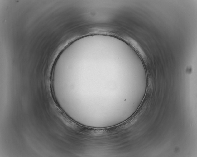 X0000096721435200802261643