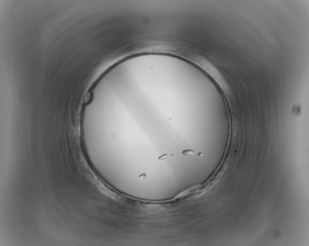 X0000096721436200802261643