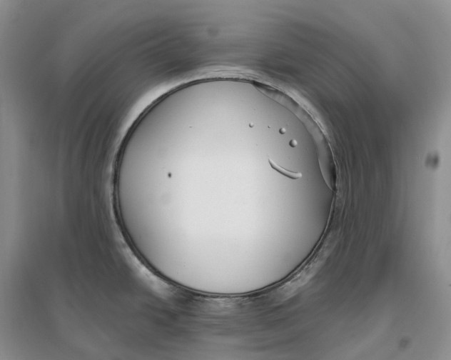 X0000096721438200802261643