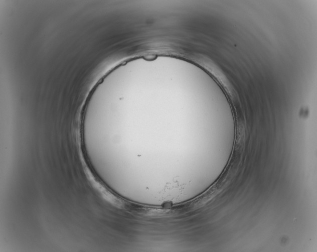 X0000096721439200802261643