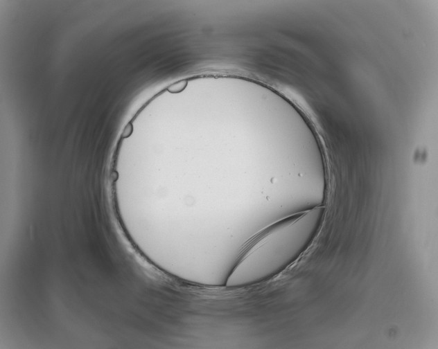 X0000096721440200802261643