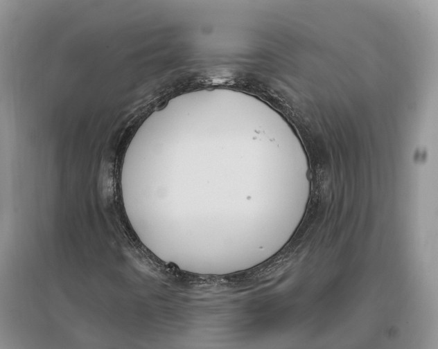 X0000096721442200802261642