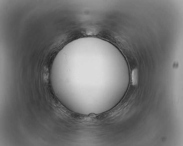 X0000096721443200802261642