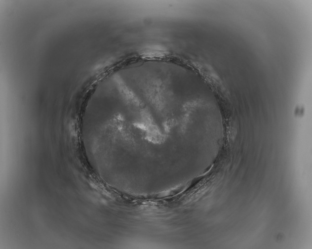 X0000096721445200802261642