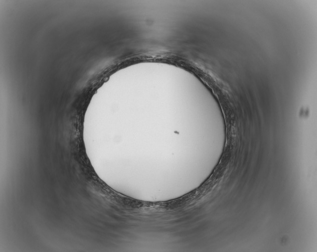 X0000096721447200802261642