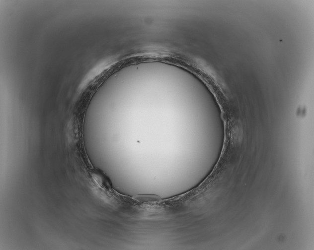 X0000096721448200802261642