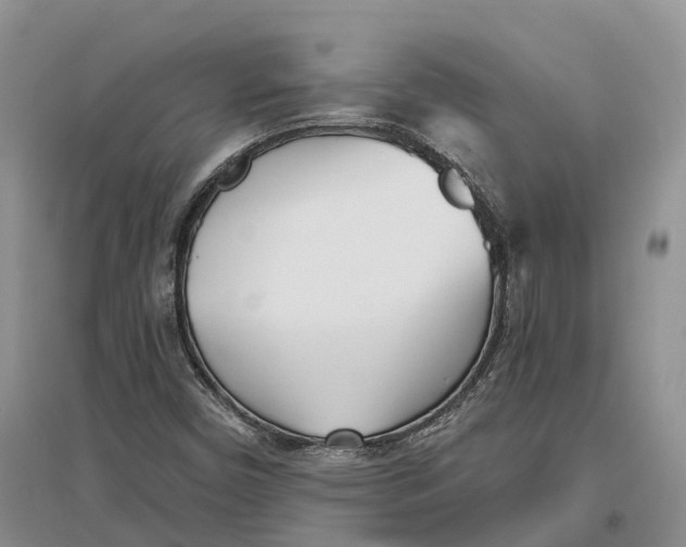 X0000096721450200802261642