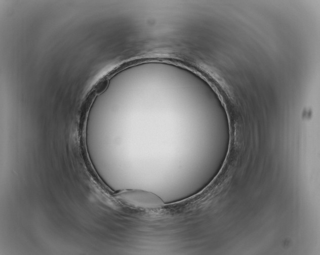 X0000096721452200802261642