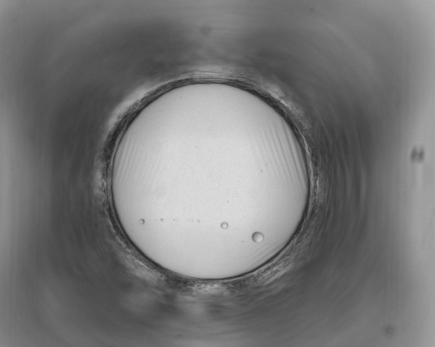 X0000096721454200802261642